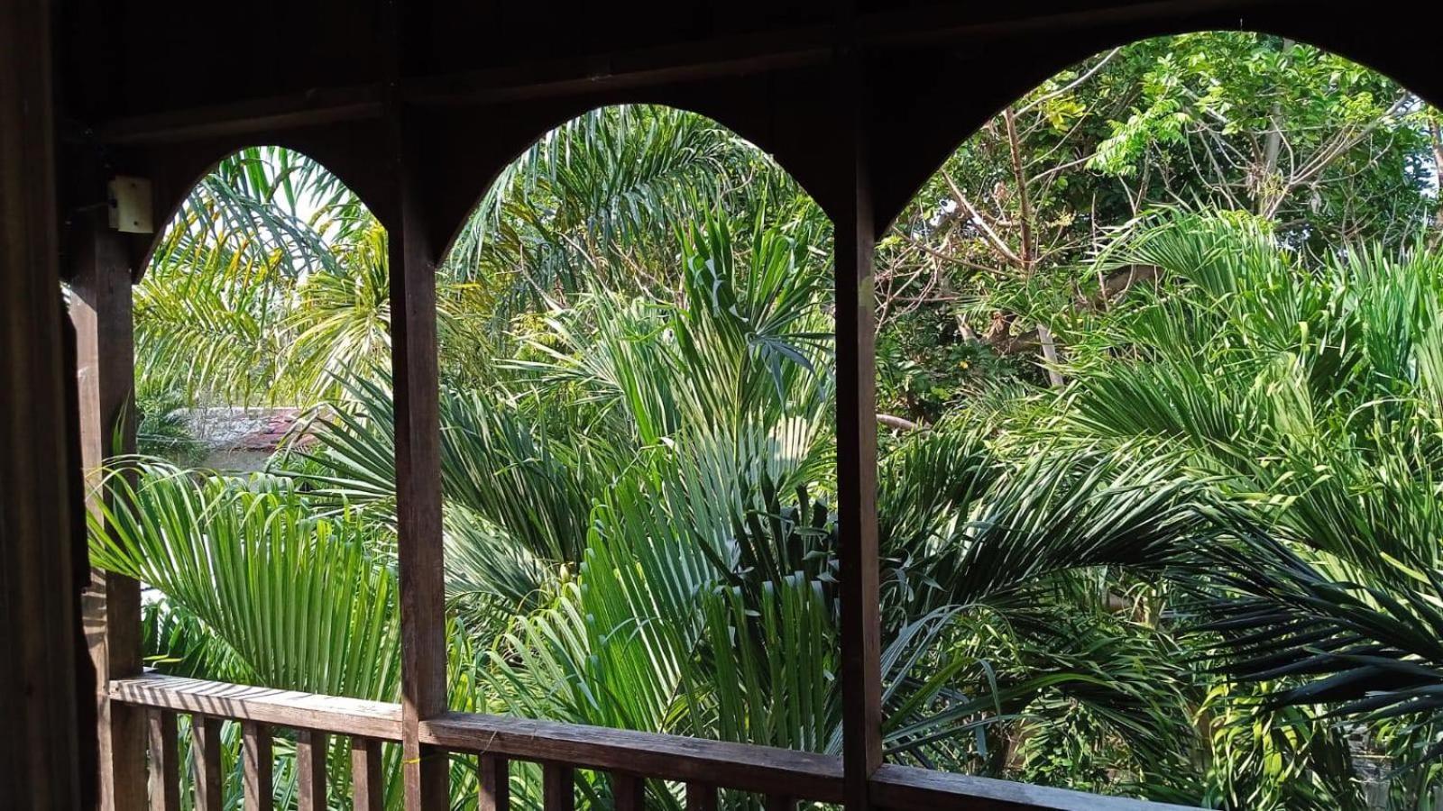 T&T - Tatty And Tony Guesthouse Negril Quarto foto