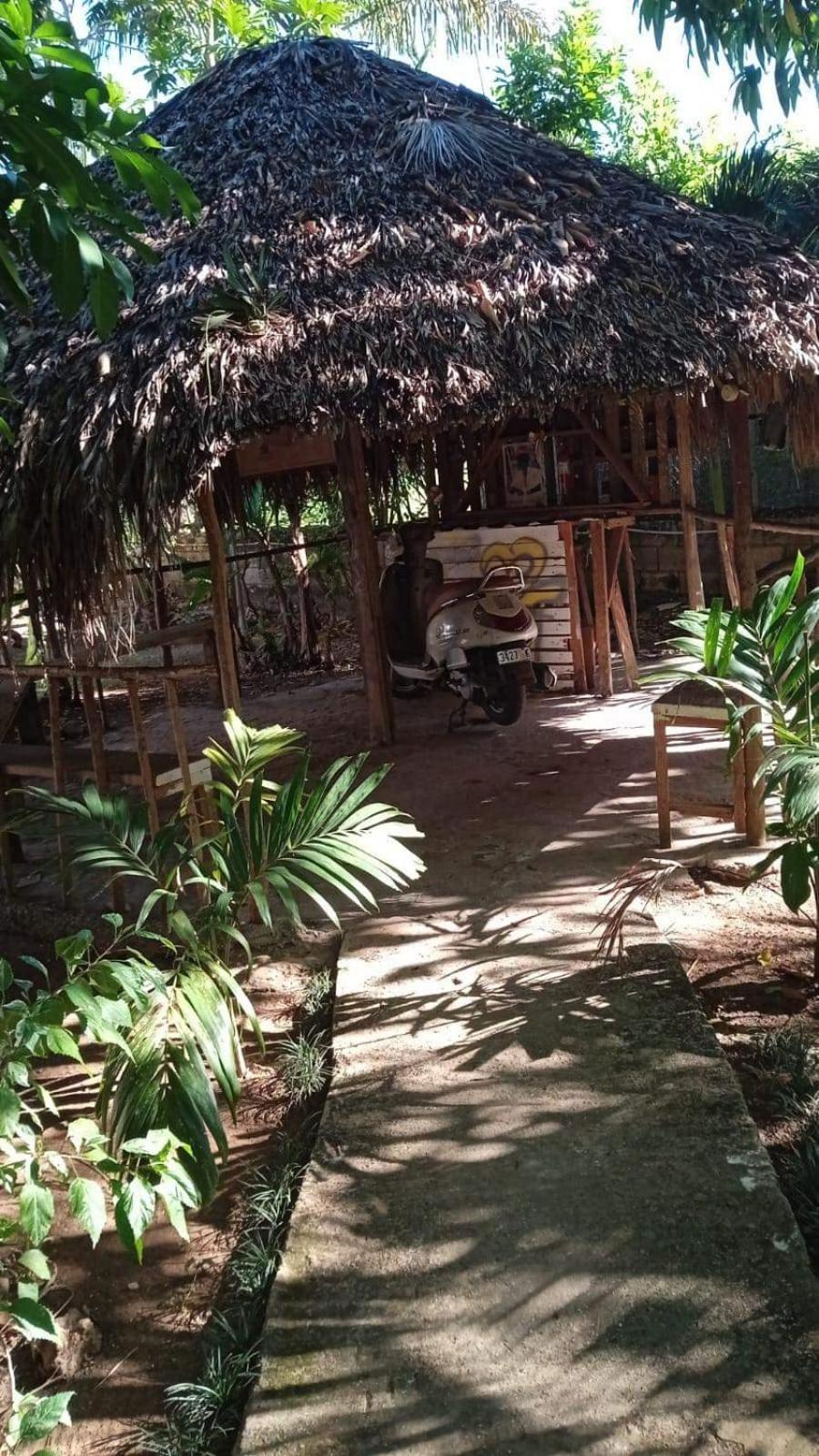 T&T - Tatty And Tony Guesthouse Negril Quarto foto
