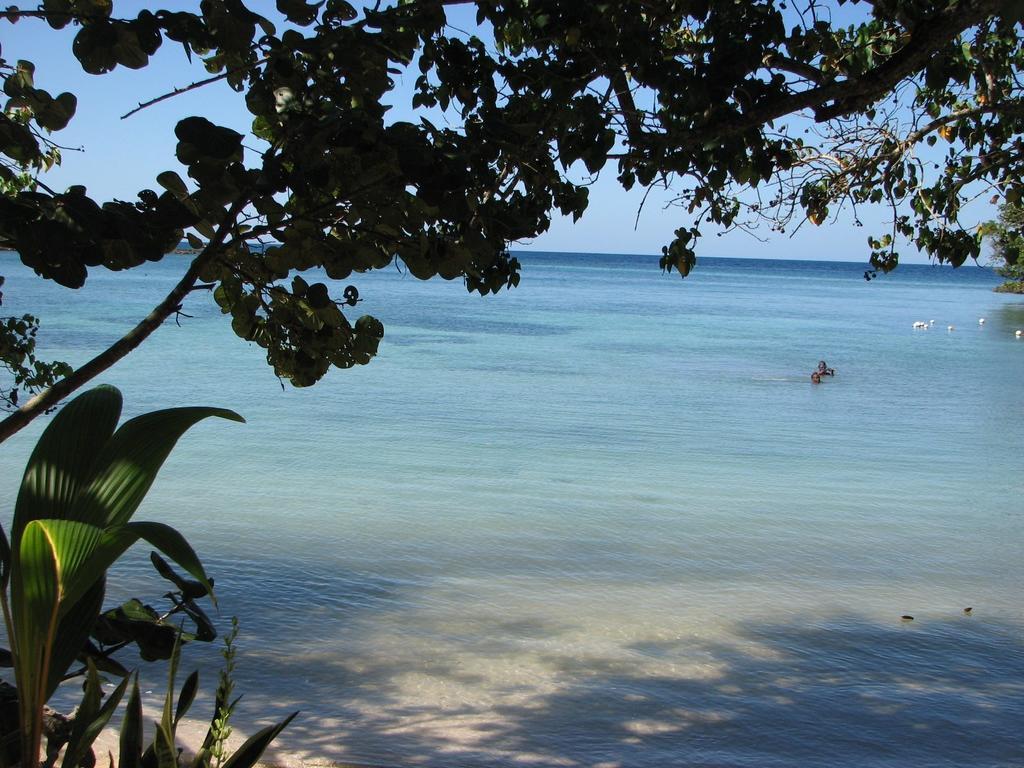 T&T - Tatty And Tony Guesthouse Negril Quarto foto